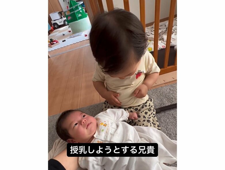 提供：＠zen_pokoさん