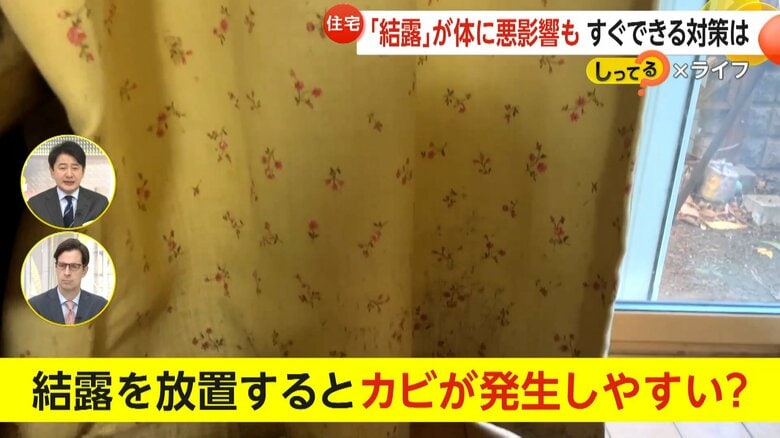 放置するとカビが発生しやすくなるというカビ