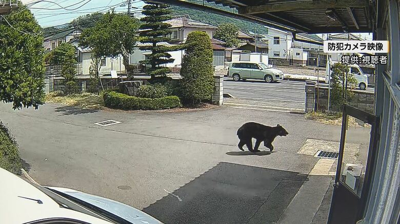 防犯カメラの映像（提供：視聴者）