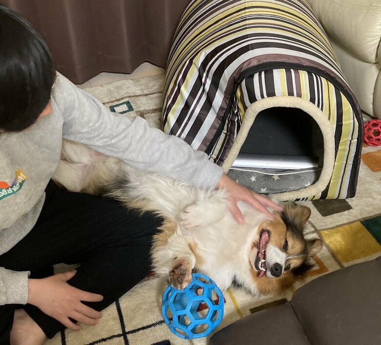 なでなで最高！