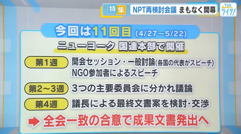 今回は11回目（4/27～5/22）　ニューヨーク国連本部で開催