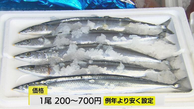 今年は手頃な値段で購入が可能