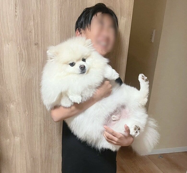 抱っこされると“無”になるちくわくん