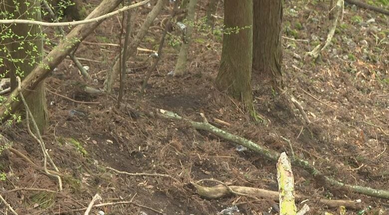 遺体が見つかった現場付近