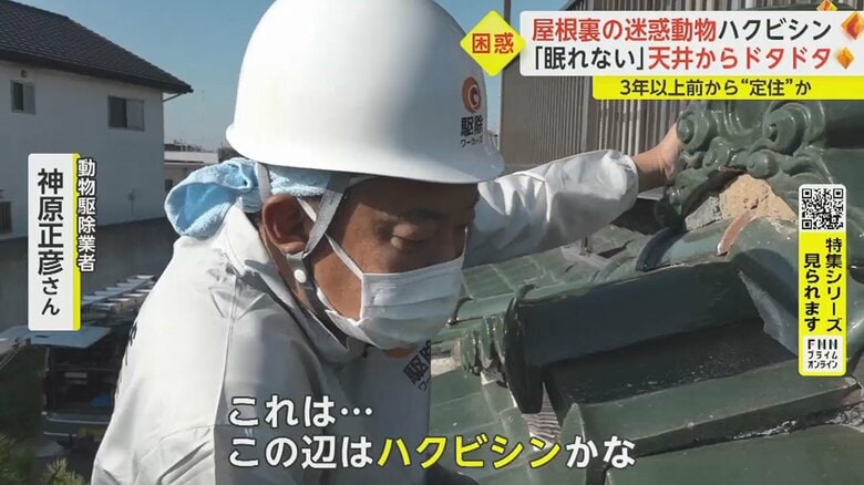 音の正体を探るために屋根の上へ