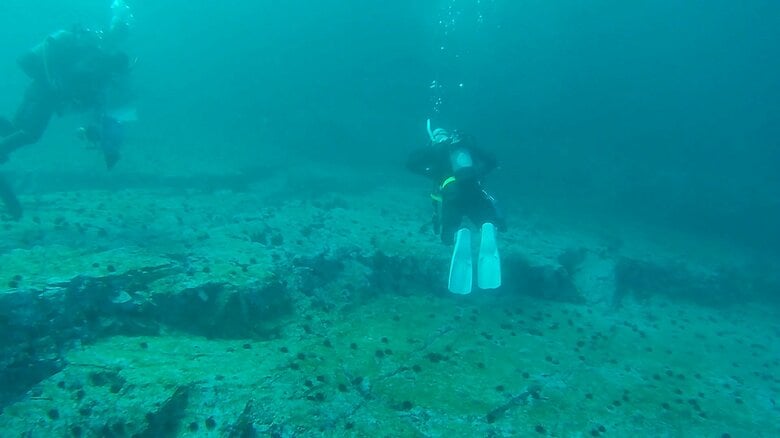 黒潮が流れ込んでいるため透明度が高いという