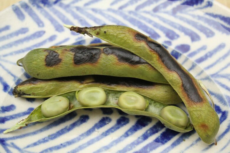 焼きソラマメ。実はタンパク質を含む野菜
