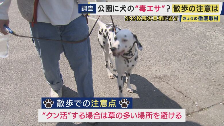 有効な対策は草の多い場所を避けて散歩すること