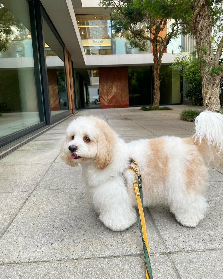 提供：宮原幸恵さん