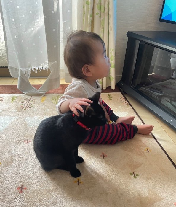 提供：ゴンゾウR4さん