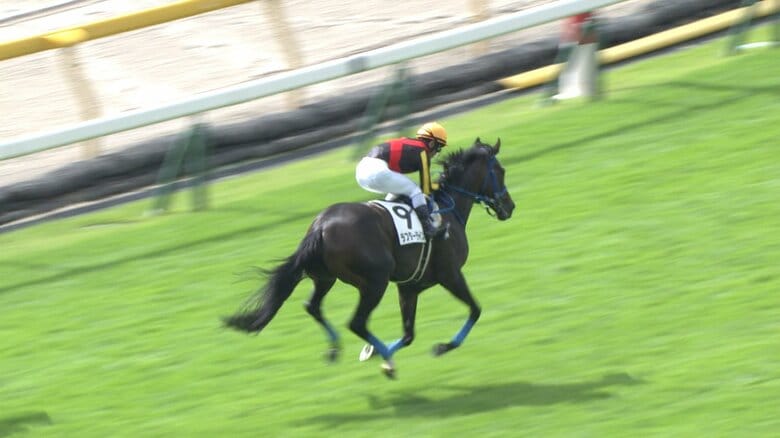東京未勝利を制したラフターラインズ