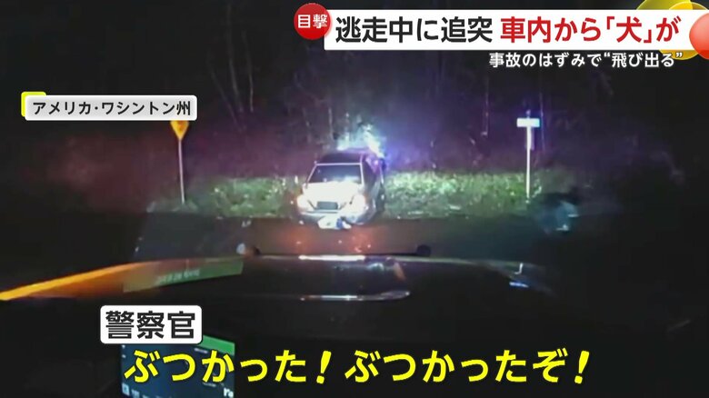 逃走車が衝突し車から犬が投げ出される瞬間（アメリカ・ワシントン州）⑥