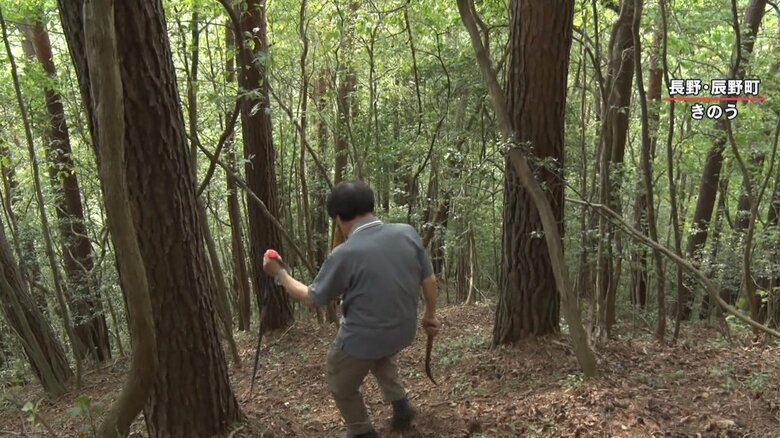 森下さんと一緒に探すも見つけられず
