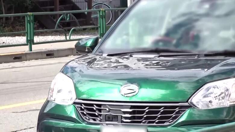 ひょうの被害の様子