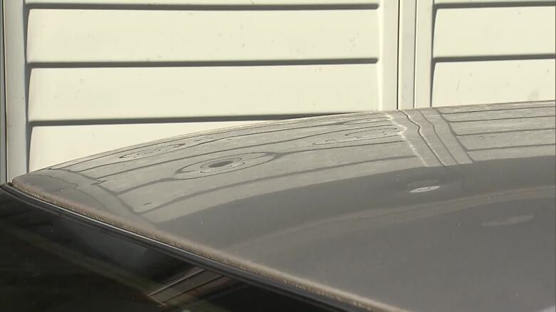 ひょうの被害の様子