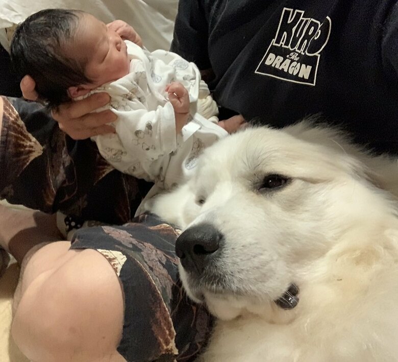 そばにいてくれる優しい“姉”のシュシュちゃん