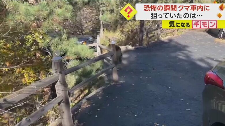 「出て行け！」と言われ、車から出ていくクマ⑥