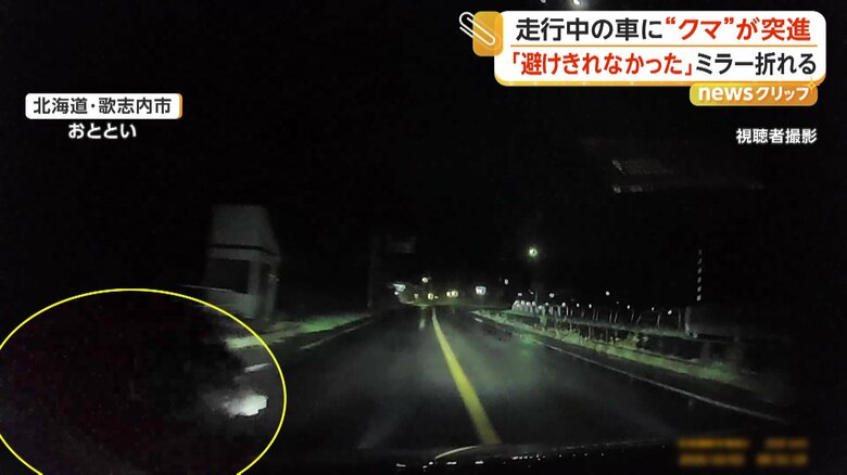 “クマ”が道路に飛び出す瞬間