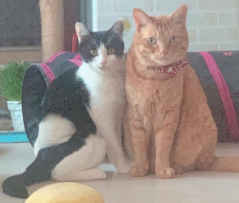 陽葵ちゃんとちまきくん