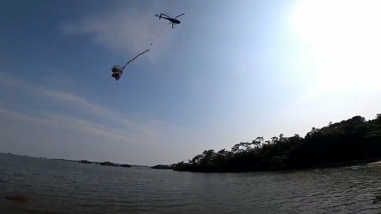 ヘリがマツの木を運んでいる（提供：ウルトラカブさん）