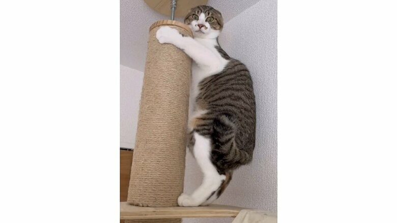 さらに近づくと腰を浮かして逃げ腰状態に