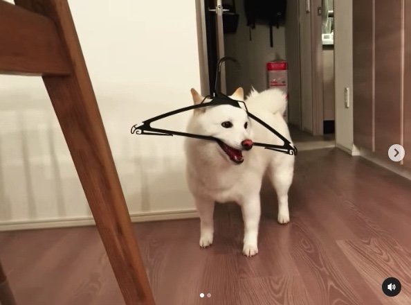 提供：ラッキーさん