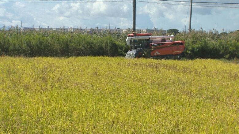 新潟市北区（25年10月）