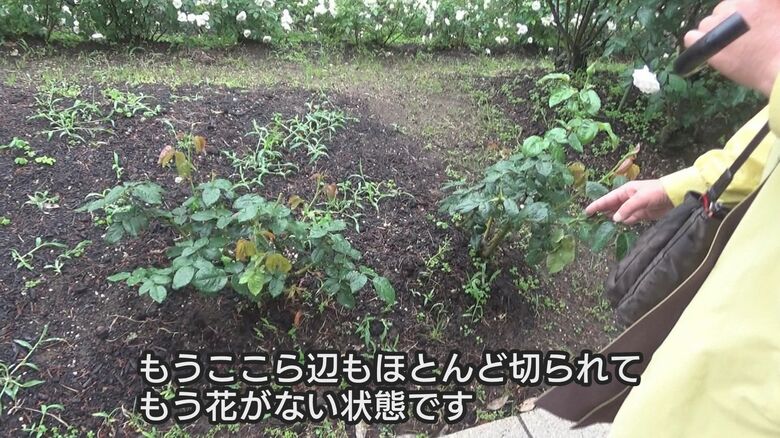 相次ぐ被害でバラがない区画も…
