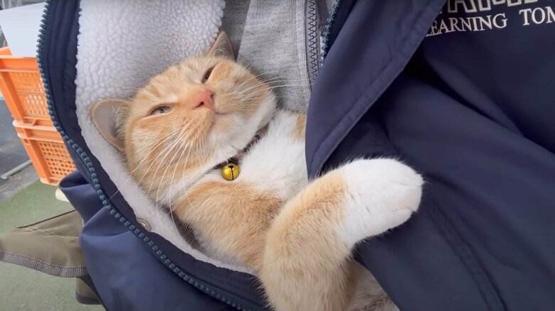 服の中にすっぽり