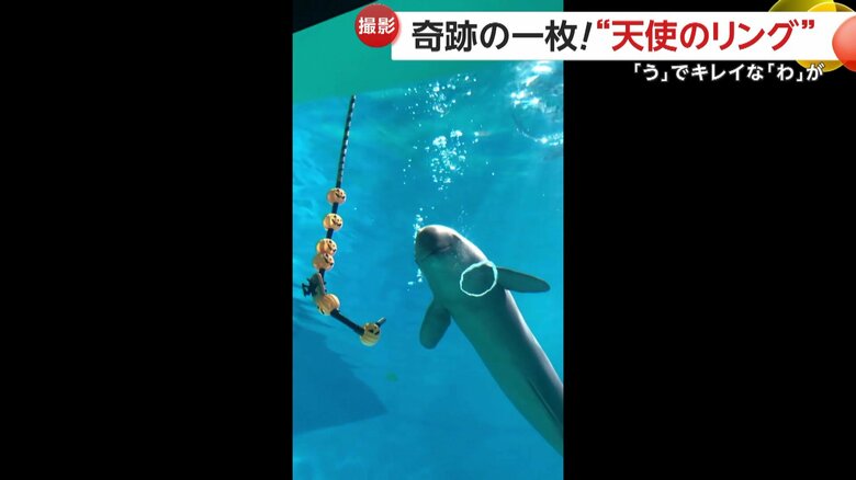 “バブルリング”を作るのがうますぎるひびき