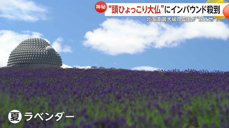 夏にはラベンダーが咲き誇る真駒内滝野霊園