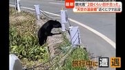 「恐怖感じた」“天空の温泉郷”で子グマ目撃　各地で出没相次ぎ警戒高まる　住職「お供え物は持ち帰って」