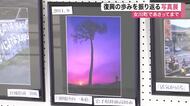 女川町で震災復興の歩みを振り返る写真展が開催　「奇跡の一本松」など被災地の記録４７点を展示〈宮城〉