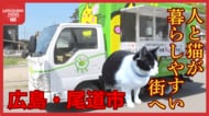尾道で走る「おの猫号」　―　移動手術で猫と街の共生を目指す　【広島発】