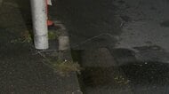 車が電柱に衝突…後部座席に乗っていた8歳男児が死亡 東京・青梅市