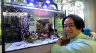 AIの力で都心のど真ん中に“沖縄の海”を再現!絶滅の危機に瀕する「サンゴ」を守るために奮闘【アスヨク!】
