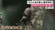 150匹のカブトムシが放し飼い　「かぶと虫の家」が18日オープン　地元の園児がご招待「かわいい！」　夏恒例の人気施設　滋賀・大津市