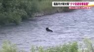 福島市のクマ出没は2倍に増加　嫌がる音と緊急銃猟制度で住民の安全を守る【福島発】