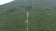 【外国人や海外資本に買われる”北海道の森林”】全国最多の43件･374ヘクタールに…購入目的は”資産保有や太陽光発電”など様々…最も大規模な取得は韓国法人による七飯町の森林118ヘクタール