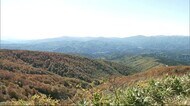ゴンドラから絶景を…秋田県北秋田市の森吉山で紅葉見頃