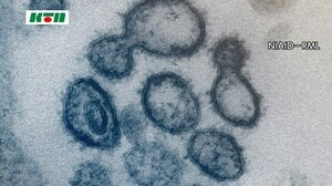 長崎県内では4日連続で新型コロナウイルス新規感染確認ゼロ