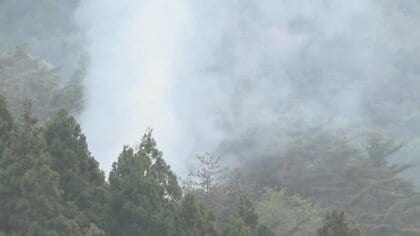 岩手・大船渡市山林火災「煙が上がっている」と通報　約1時間後に鎮圧　