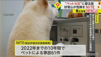 【ペット火災に要注意】留守番中の愛犬がコンロスイッチ押下も…10年間で事故61件、9割が“火災”に　NITE