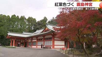 霧島神宮の紅葉シーズン到来　3連休で参拝者1.6倍、今週末が見頃の予報