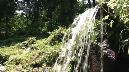 新緑の寒風山へ　天然のクーラーと湧水地で涼もう　男鹿の自然と食が満喫できるトレッキングツアーを体験【秋田発】