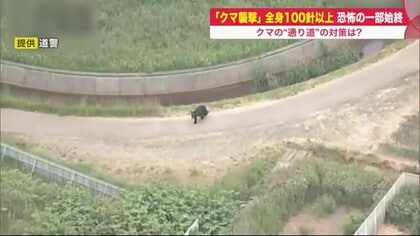 クマに襲われ「死んじゃうかと」肋骨折れ100針以上の大ケガ…恐怖の一部始終　進む市街地への侵入対策【北海道発】