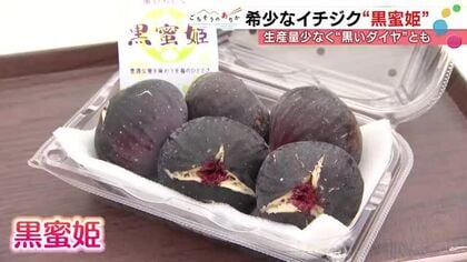 「やめずに続けたので今がある」糖度25度の黒いダイヤ「黒蜜姫」20年の挑戦