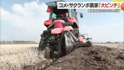 コメに加温サクランボ　燃料費高騰は農業の現場にも打撃　山形