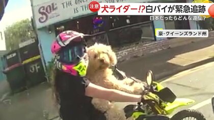 【仰天】犬がバイクを運転!?ハンドルに前脚かけ…白バイが緊急追跡　女性ライダーに反則金「暴れたら大変なことに」　オーストラリア