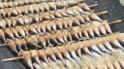 遠方からも注文殺到…三重県尾鷲市に100年以上伝わる郷土料理『あぶり』伝統の味を守る84歳女性職人の思い